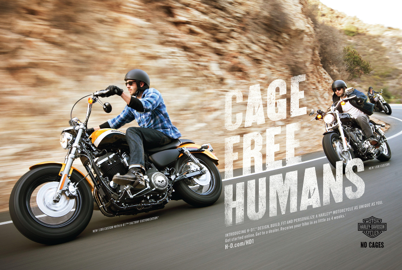 Rebel Brand Archetype - Harley Davidson