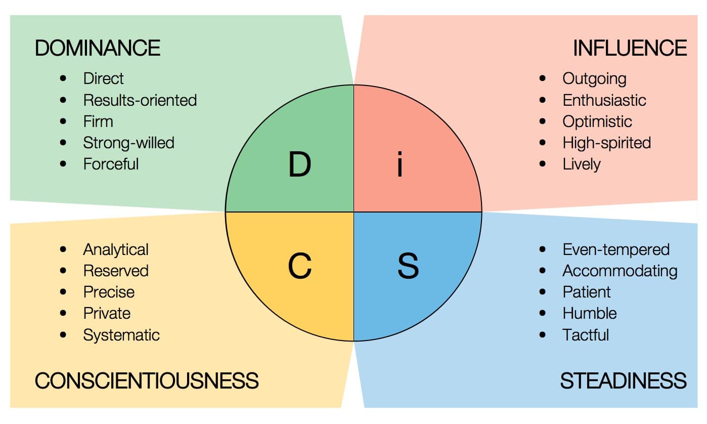 D Type DISC Personality Style Explained