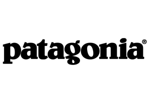 Patagonia Vision Mission 