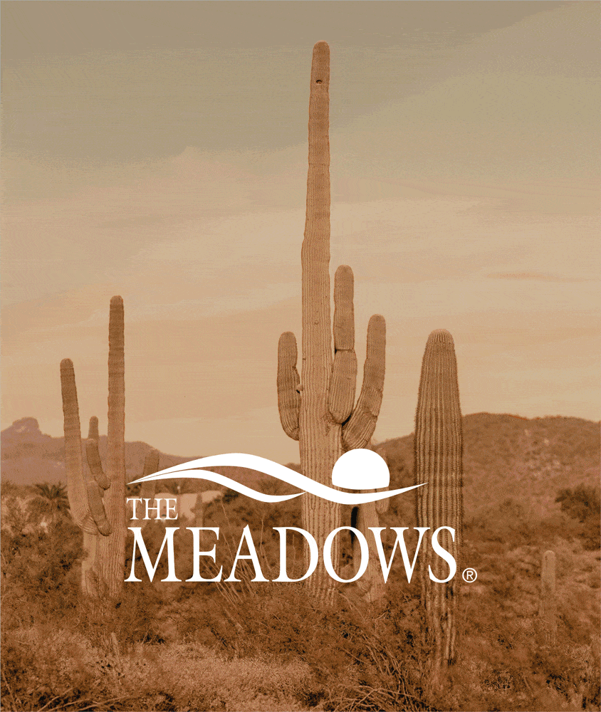 The Meadows Print Collateral Designed by Astute Communications, a creative digital agency