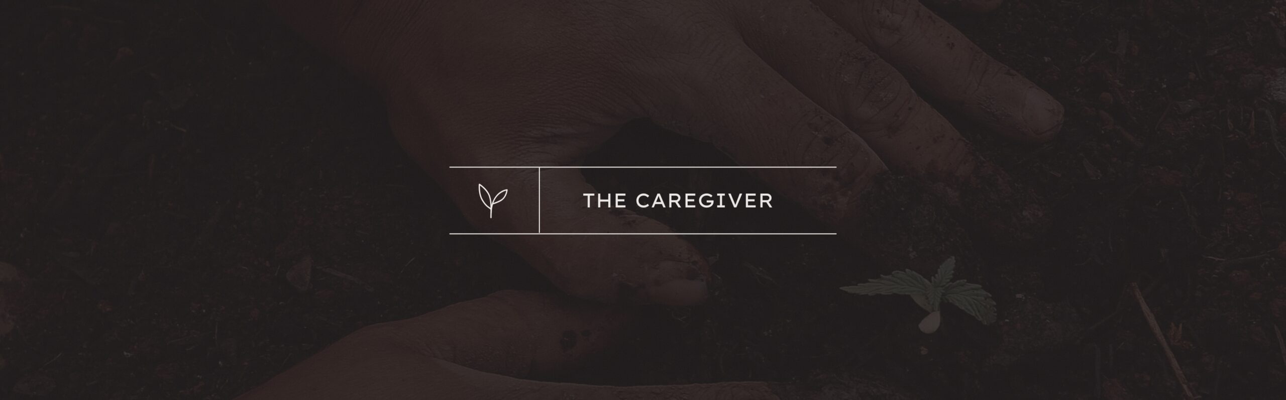 Brand Archetypes: The Caregiver 