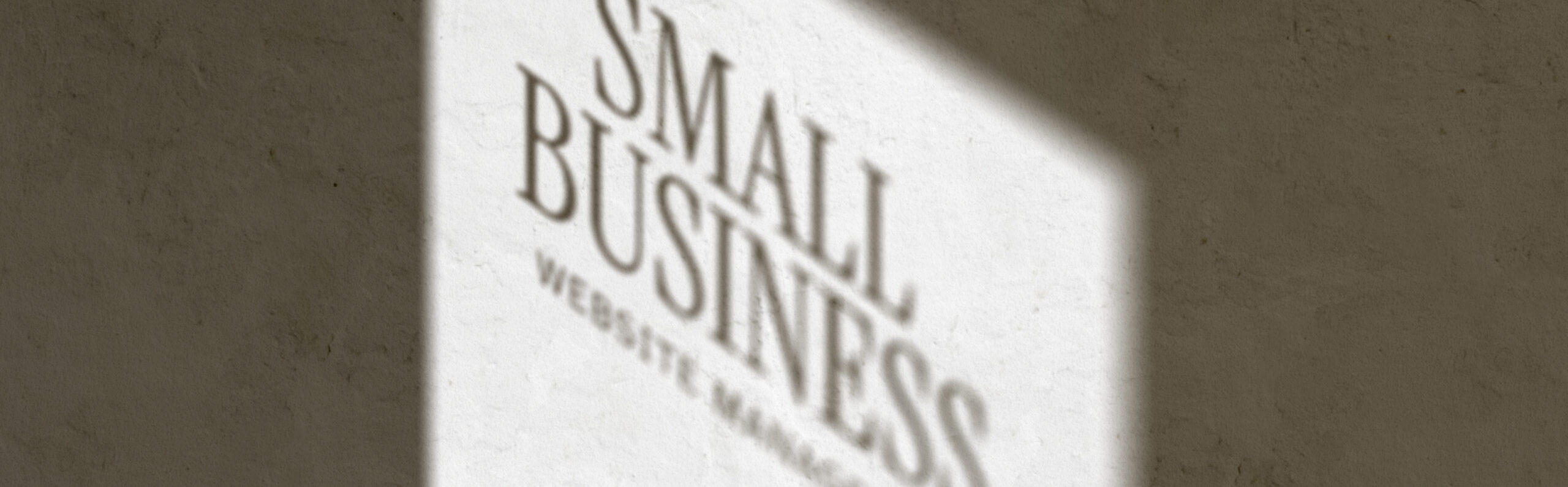 small business website management