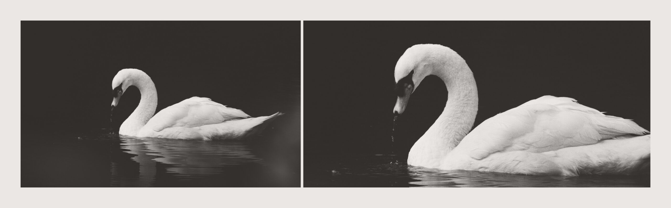 How to Find Duplicate Content on Your Website (And What to Do with it)